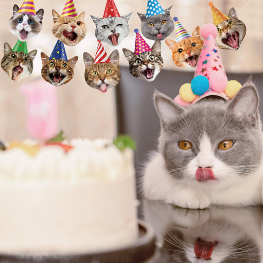 Atiloy cat-face garland with cute cat faces for kids' celebrations.