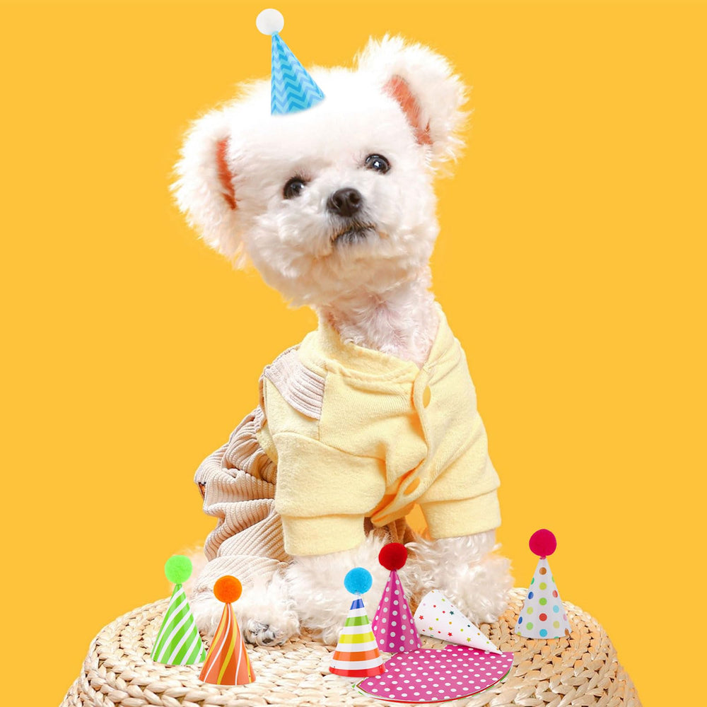 Atiloy vibrant hats for baby showers and pet birthdays
