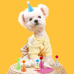 Atiloy vibrant hats for baby showers and pet birthdays