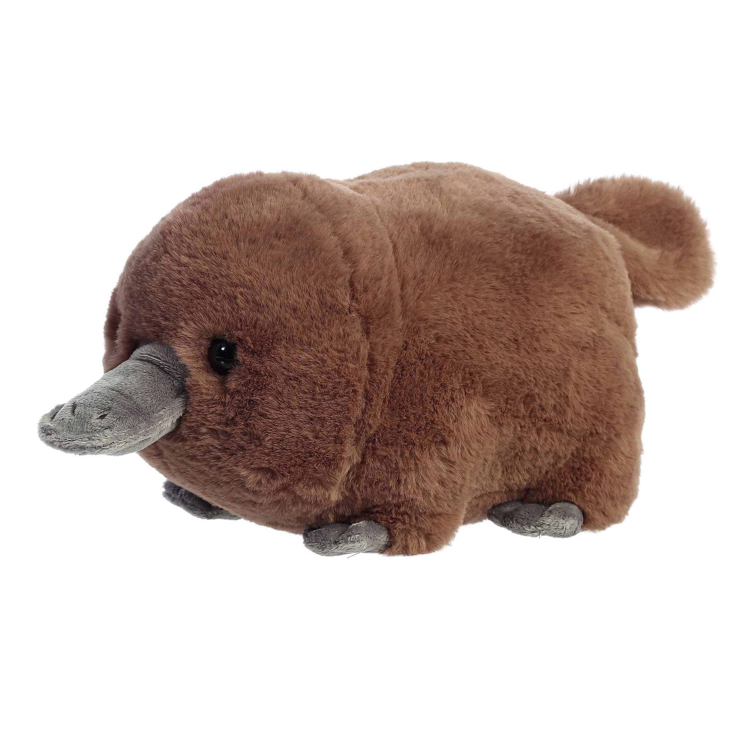 Aurora Adorable plush for all ages, safe and kid-friendly.