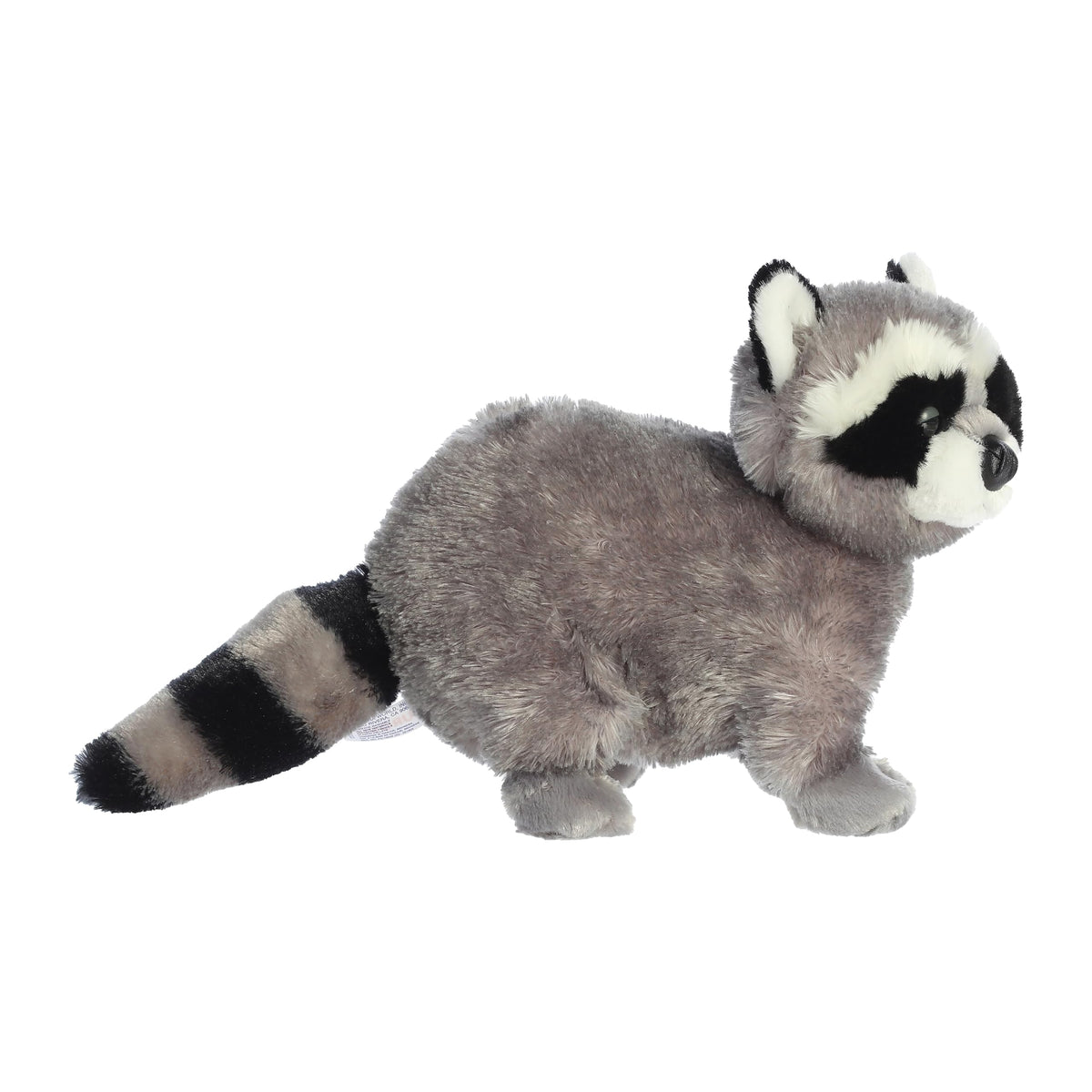 Aurora Bandit raccoon Flopsie close-up face for comforting cuddles.