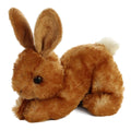 Aurora Bitty Bunny face detail highlights lifelike gaze for cozy companionship.