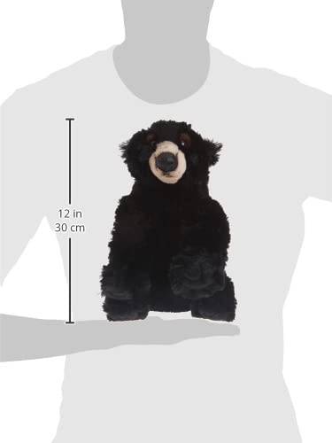 Close view of Blackstone Bear muzzle, tender cuddle companion.