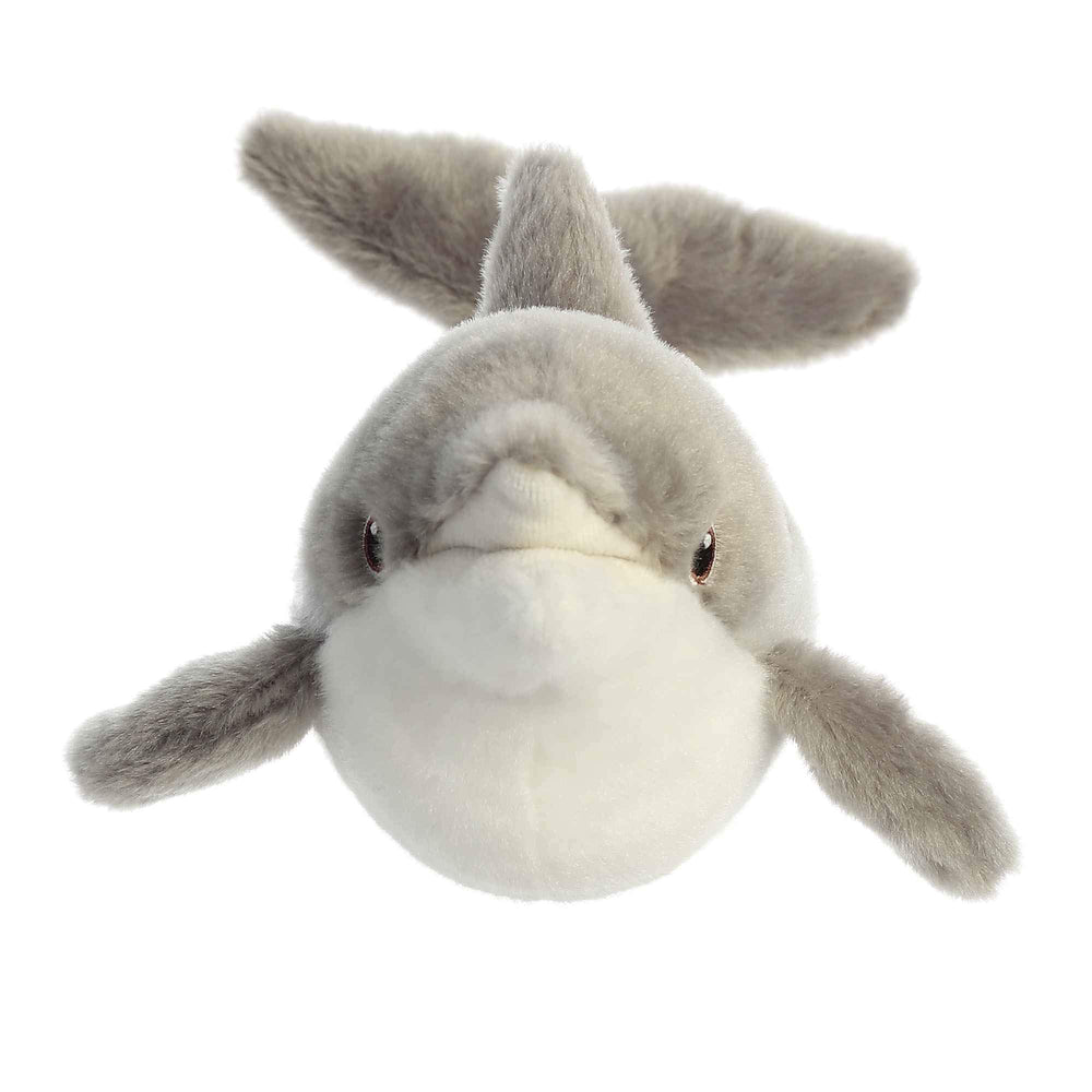Aurora Eco Nation Dolphin tag made from recycled materials.
