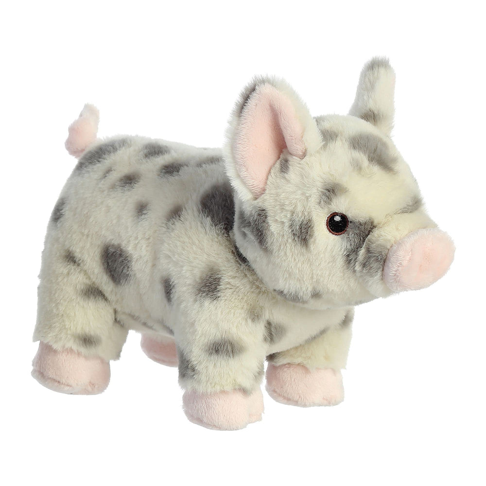 Aurora Eco Nation Spotted Pig Eco bottle tag from recycled materials