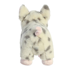 Aurora Eco Nation Spotted Pig safe for all ages with no beans