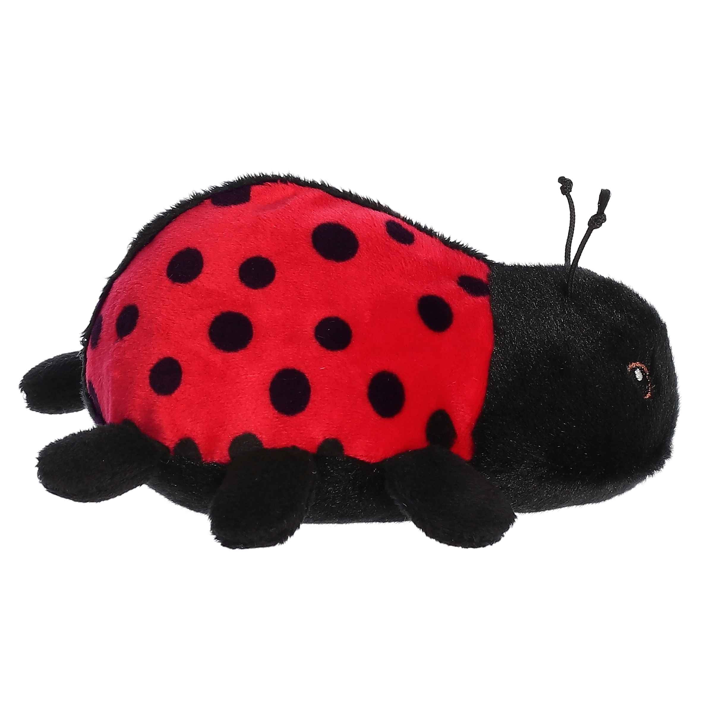 Aurora Eco Softies Ladybug plush measures 6 inches tall for portability
