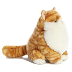 Aurora Fat Cats Butterball Tabby eyes showcase coloured eyes for a striking display.