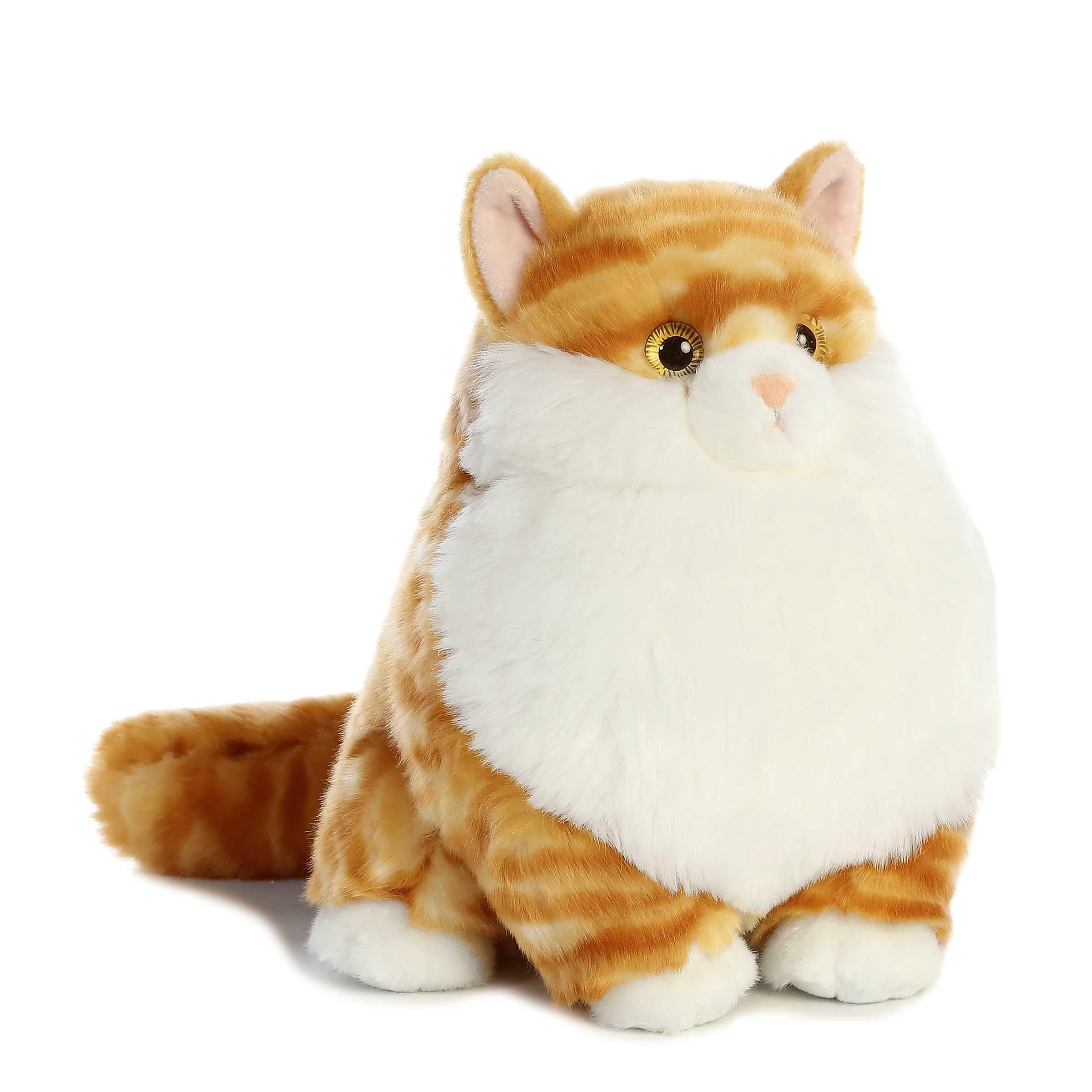 Aurora Fat Cats Butterball Tabby face with adorable expression for playful snuggles.