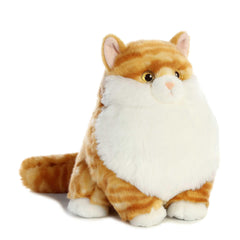 Aurora Fat Cats Butterball Tabby face with adorable expression for playful snuggles.