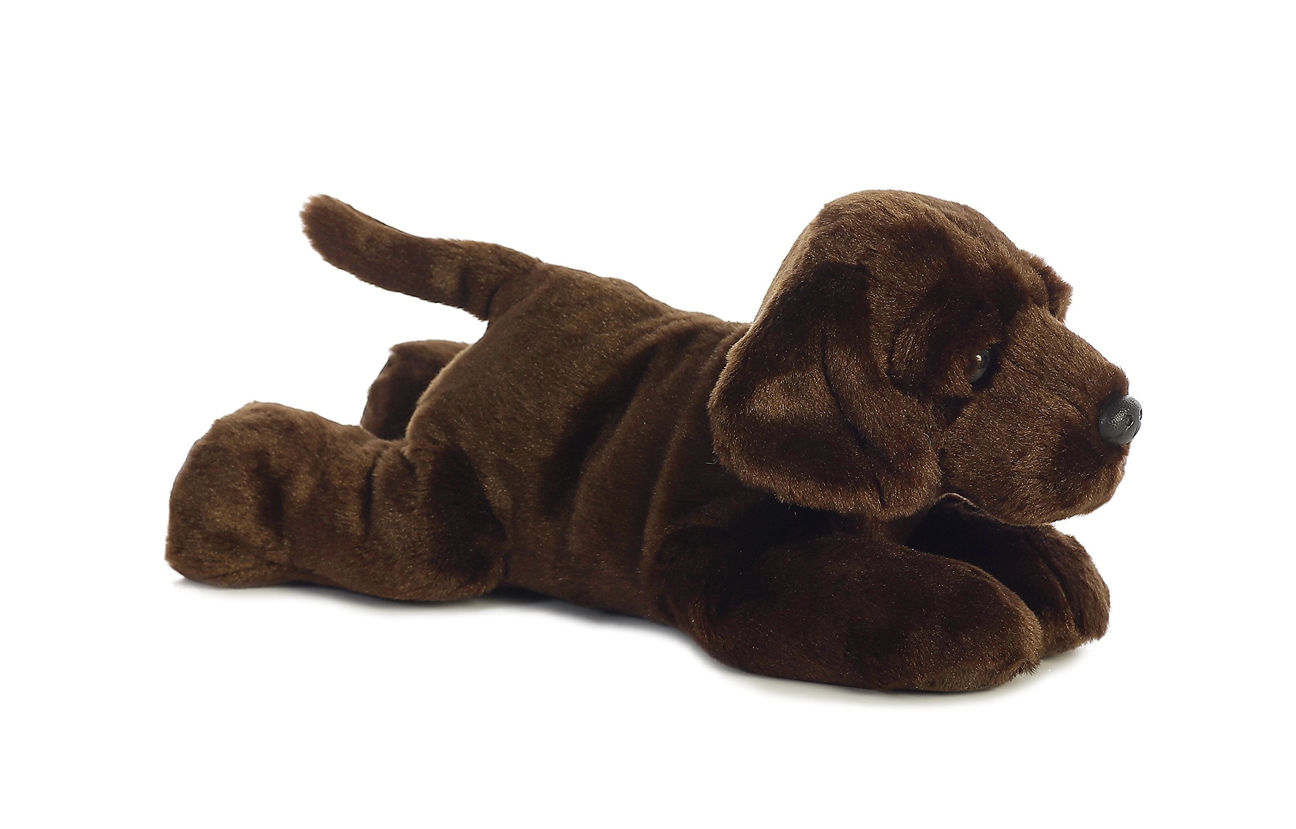Aurora Flopsie Max Chocolate Lab snuggle closeup highlights soft fur.