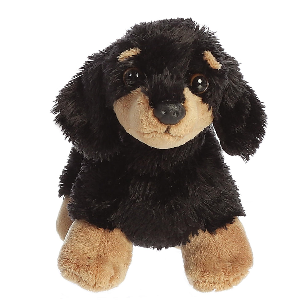 Aurora Flopsie Sausage Too gift-ready packaging showcases delightful gift option.