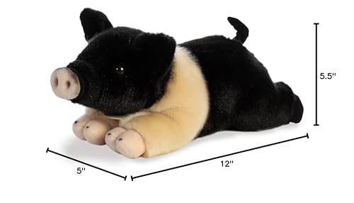 Aurora Hampshire Pig Miyoni hang tag highlights species information.