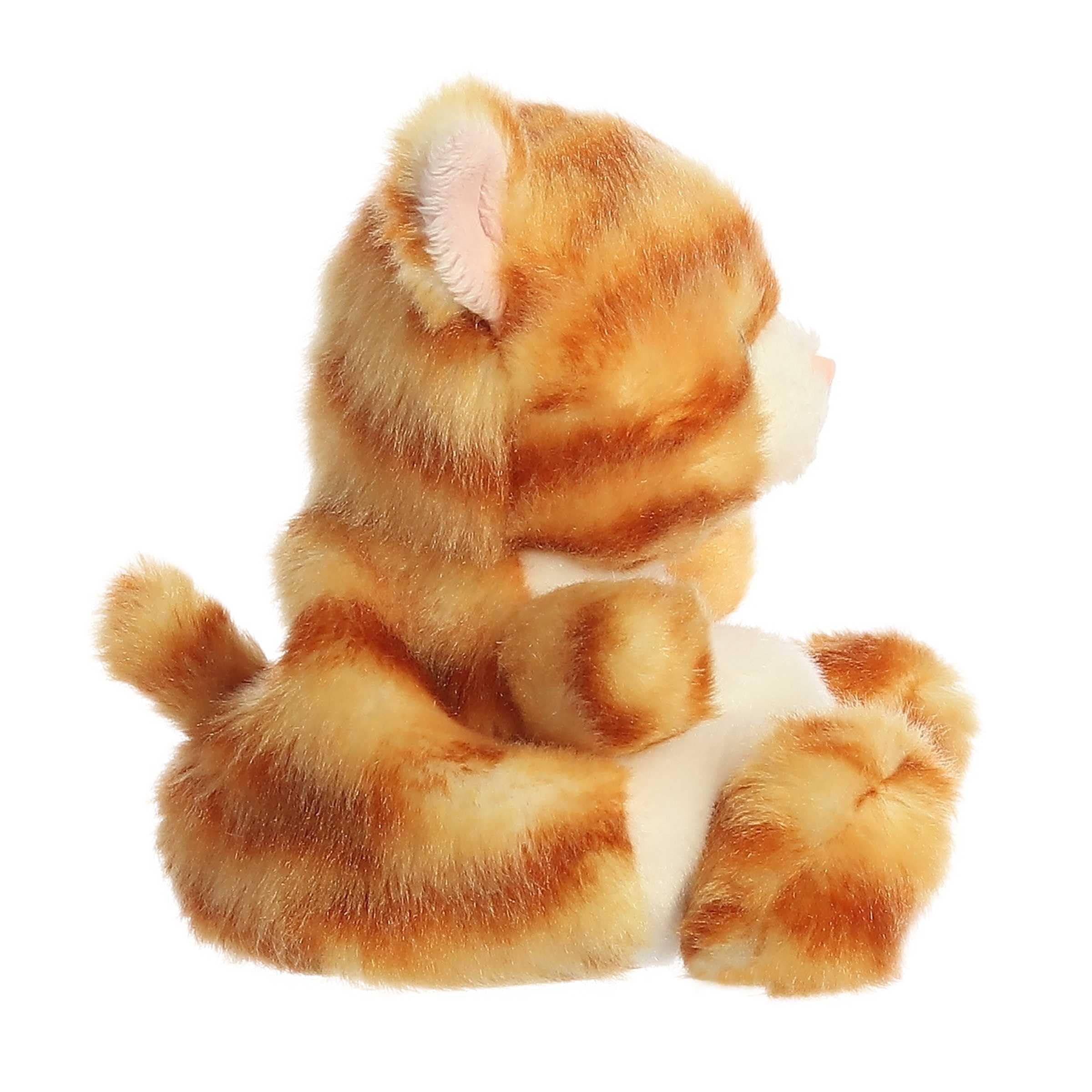 Aurora Meow Kitty bright eyes detail sparks imagination for kids.