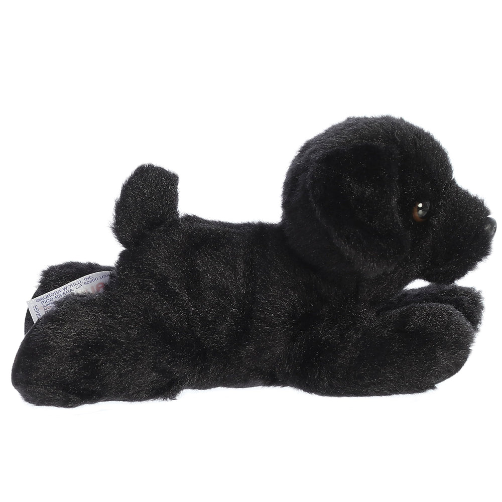 Aurora Blackie floppy-ears closeup showcases cuddly, friendly appeal.