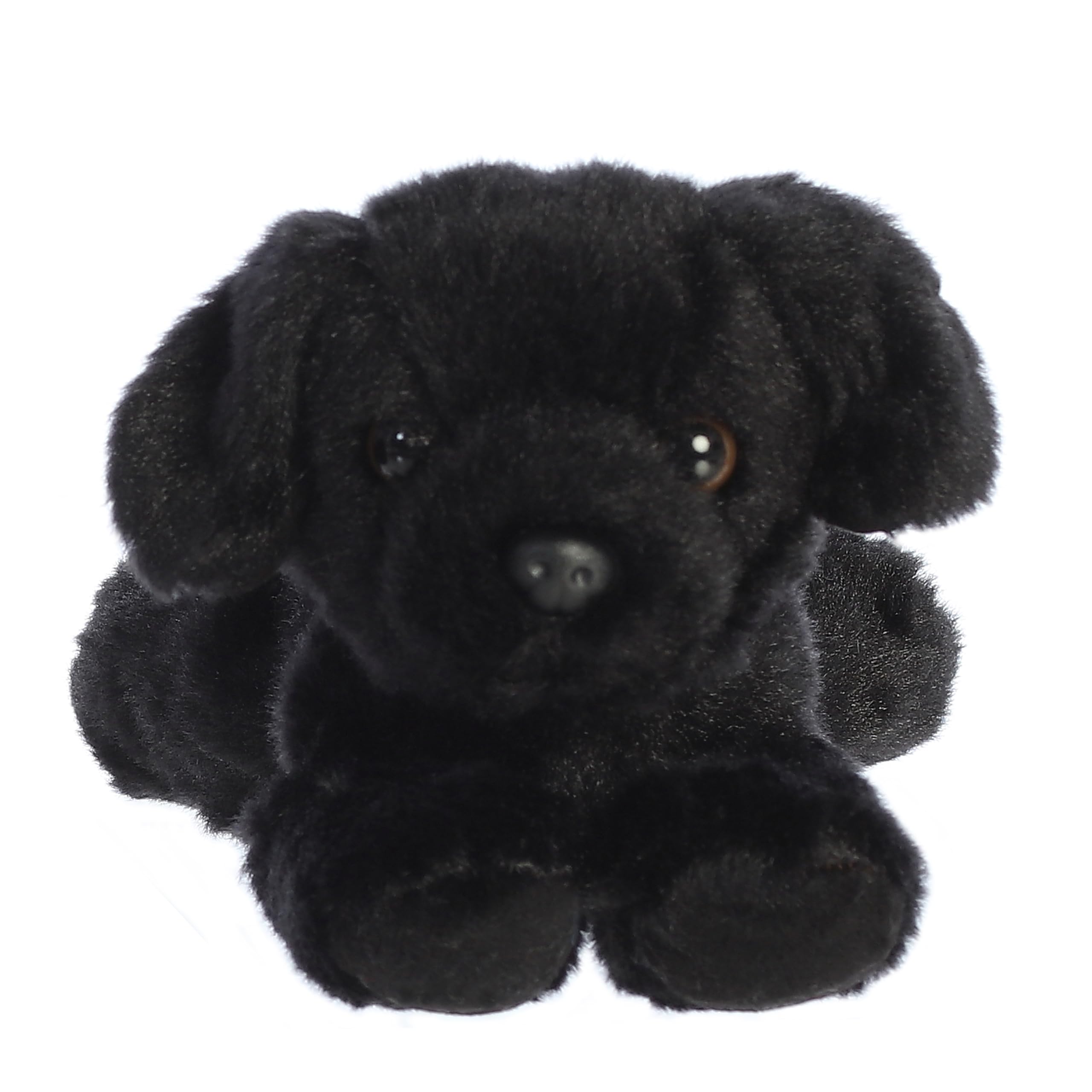 Aurora Blackie on-belly plush posing for cuddles during naptime.