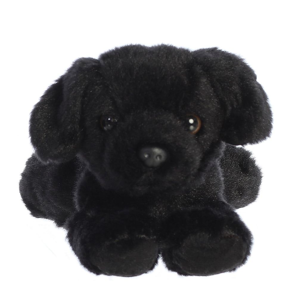 Aurora Blackie on-belly plush posing for cuddles during naptime.
