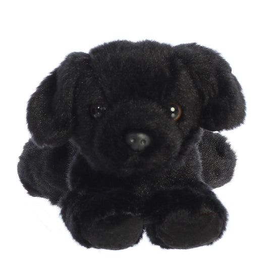 Aurora Blackie on-belly plush posing for cuddles during naptime.