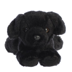 Aurora Blackie on-belly plush posing for cuddles during naptime.