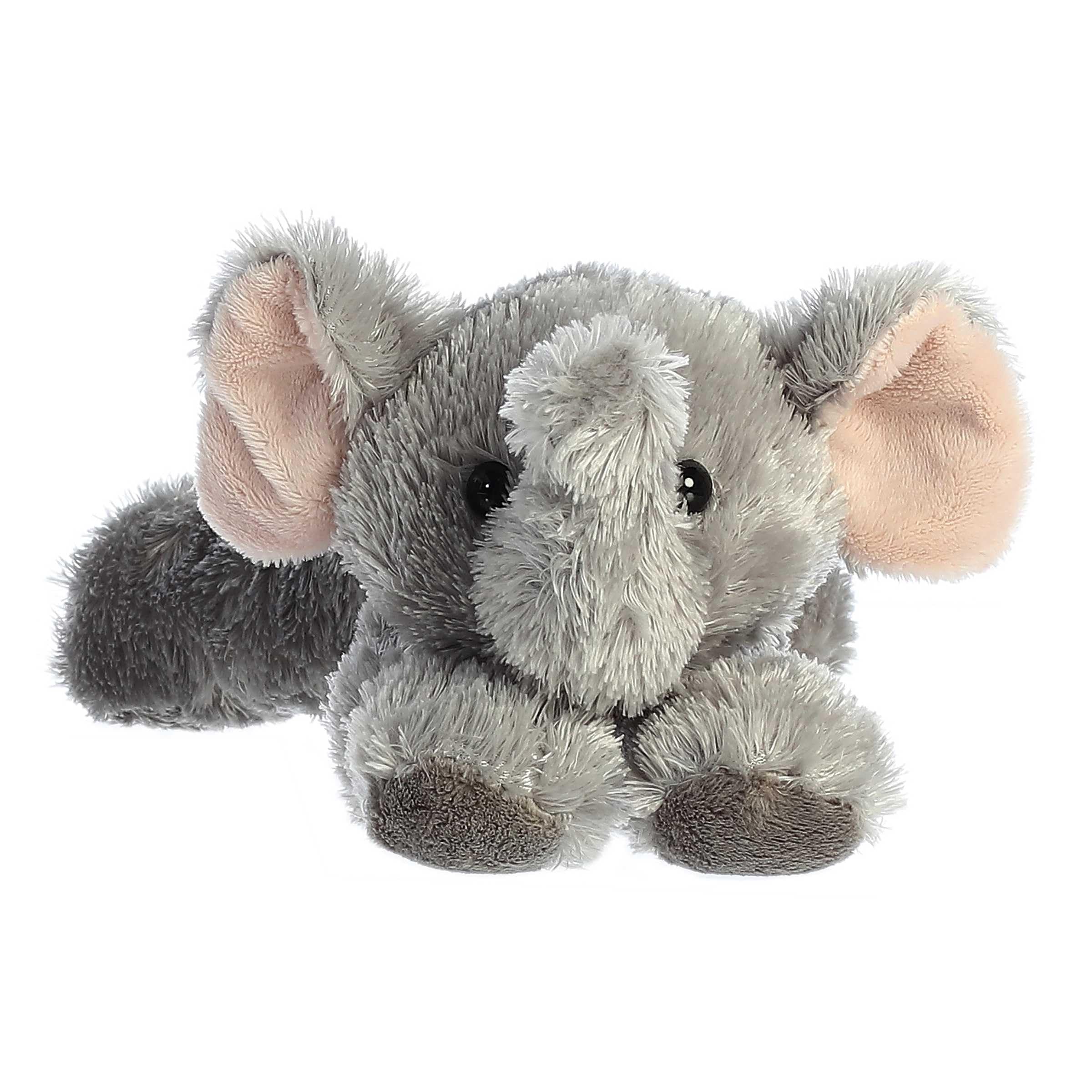 Aurora Ellie soft gray fur close-up highlighting cloud-like softness.