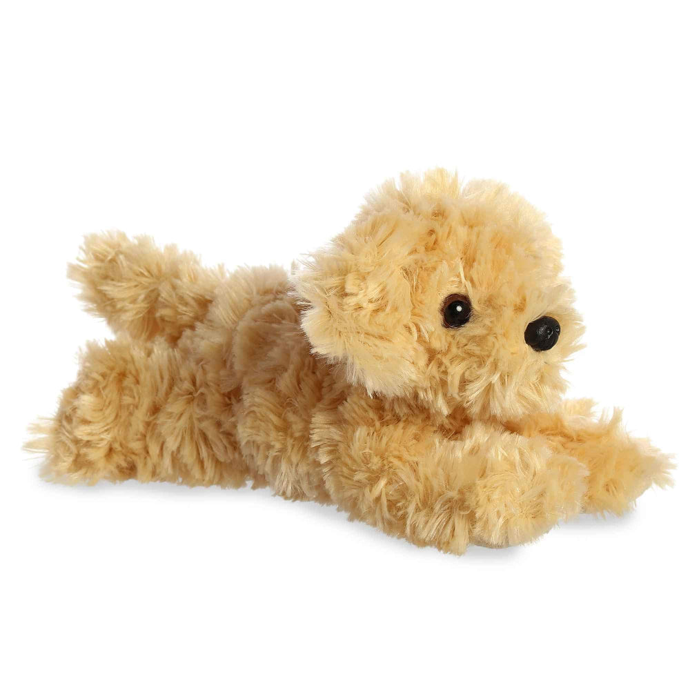 Aurora Ginny Goldendoodle face captures a friendly look for cuddles