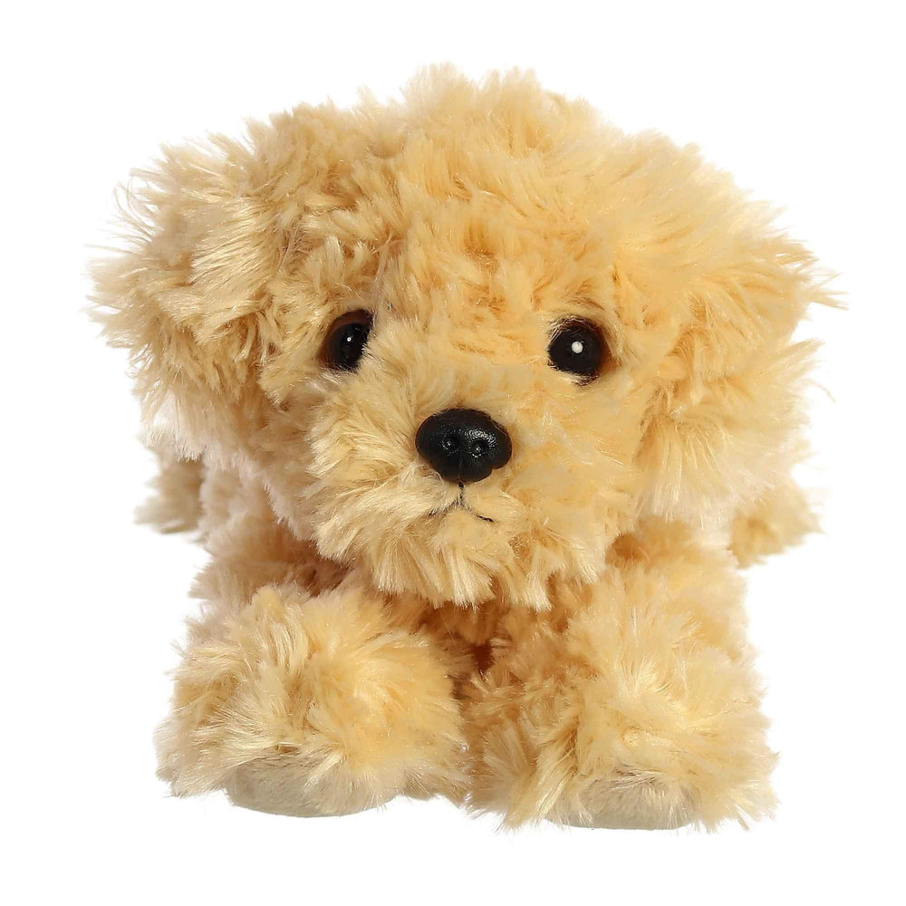 Aurora Ginny Goldendoodle soft fur invites gentle snuggles and comfort