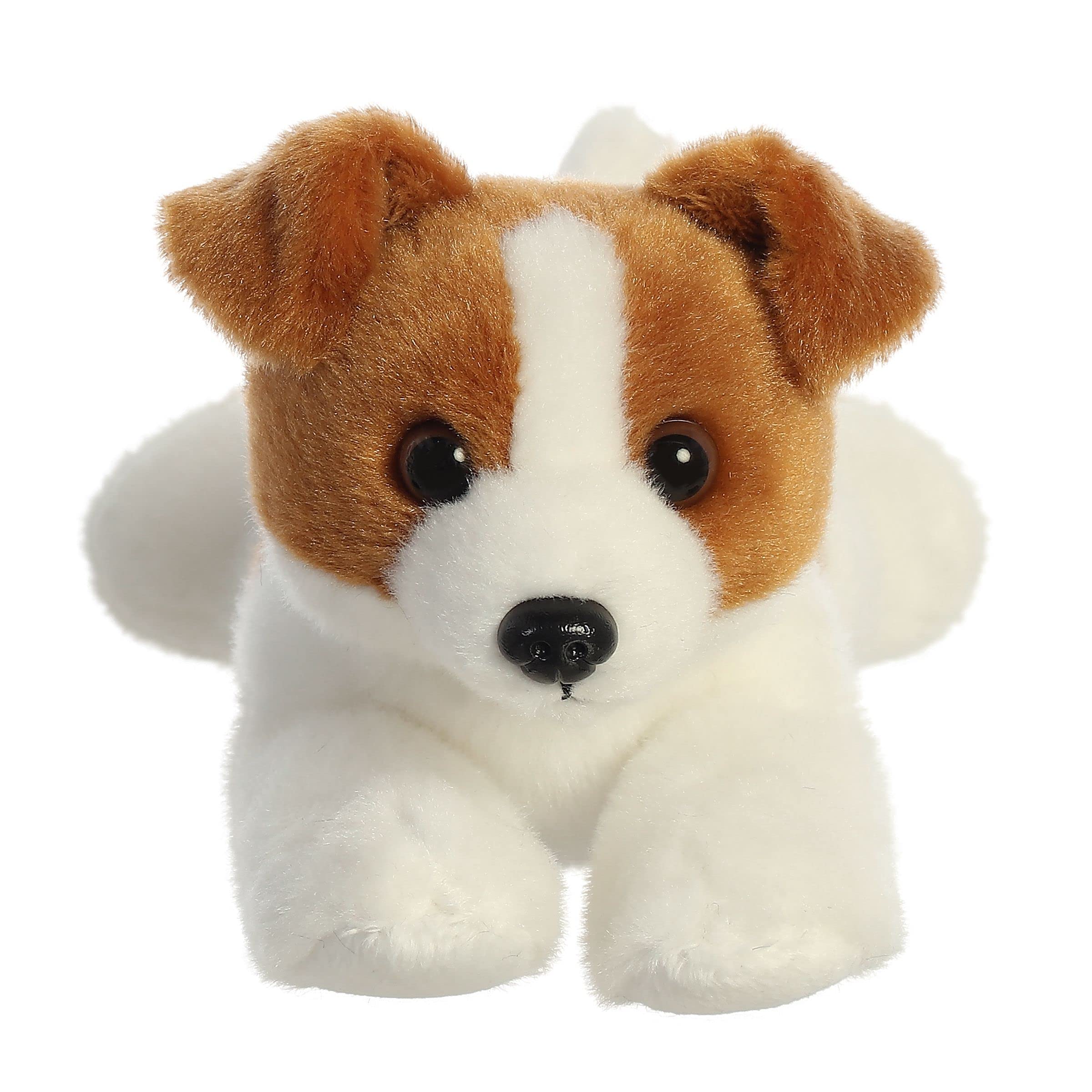 Aurora Jackie Russell Mini Flopsie eyes sparkle for playtime.