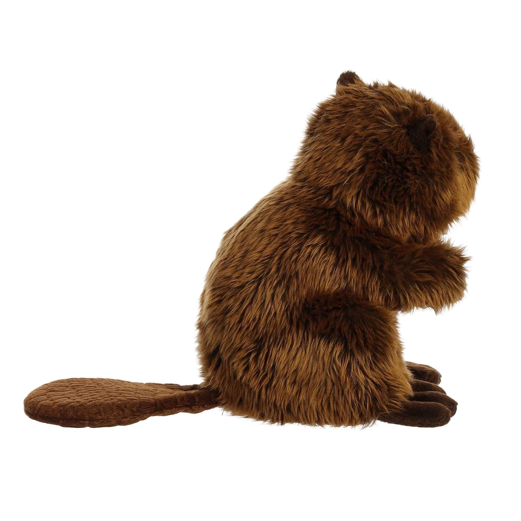 Aurora Miyoni Beaver Plush on a shelf as classroom decor