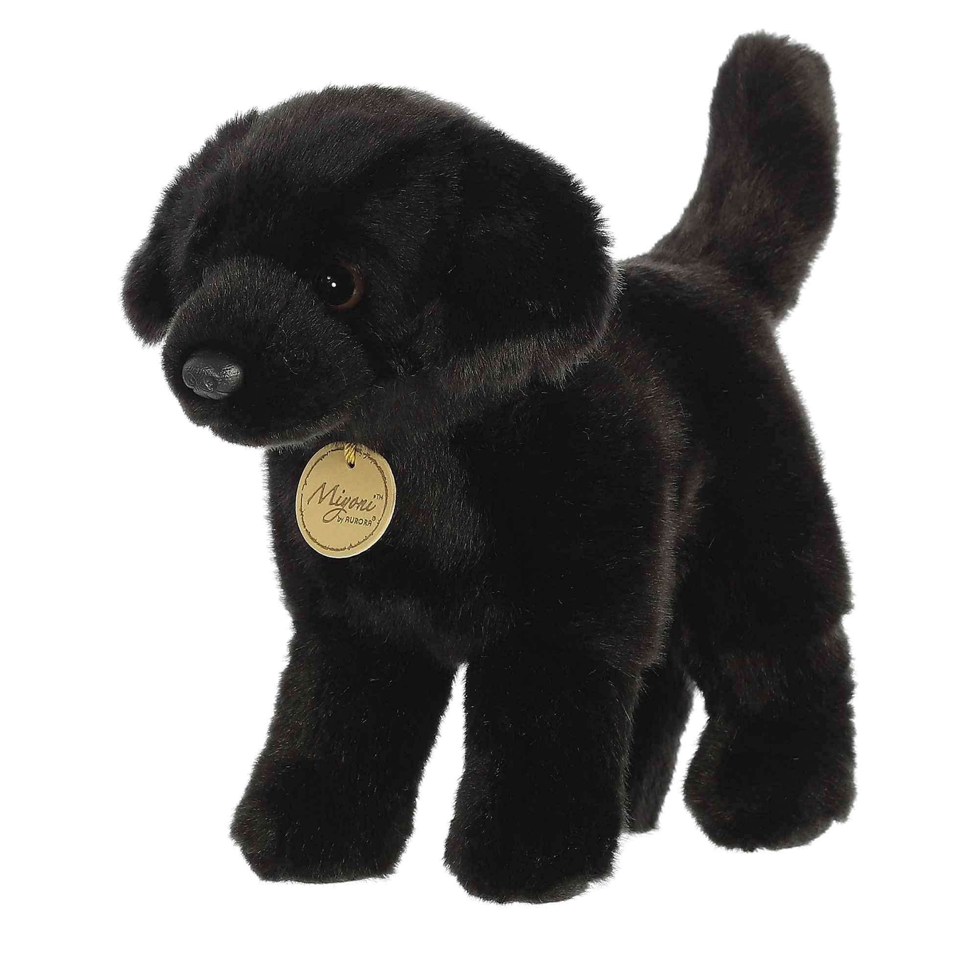 Aurora Miyoni Black Labrador plush bears a hang tag with species information