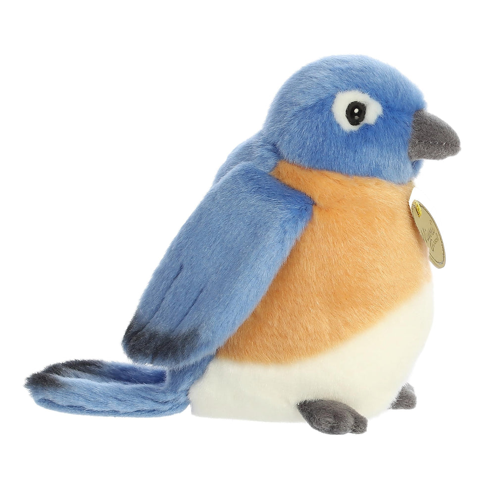 Bluebird Miyoni classroom display plush enhances learning space with charm.