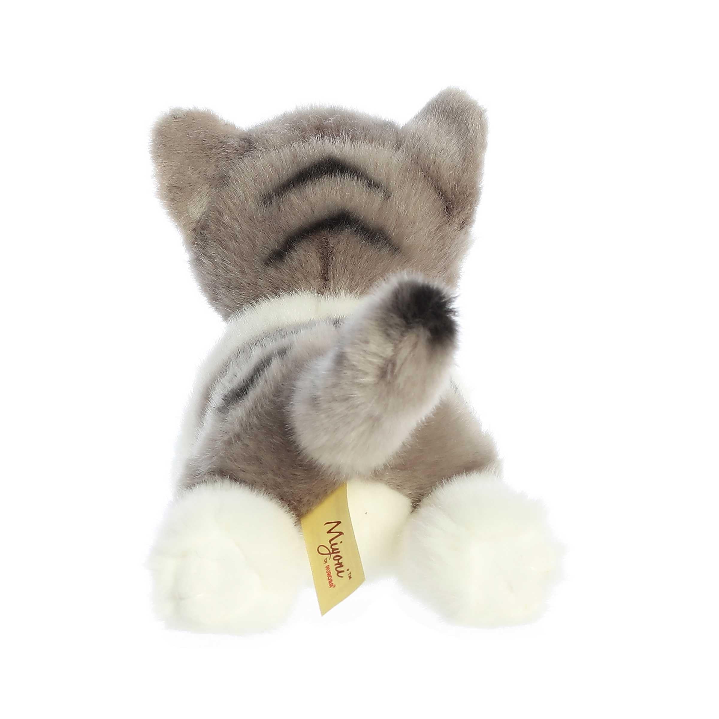 Aurora Miyoni grey tabby cat bean pellets for stable, cuddly pose.