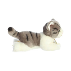 Aurora Miyoni grey tabby cat face detail for realistic display.