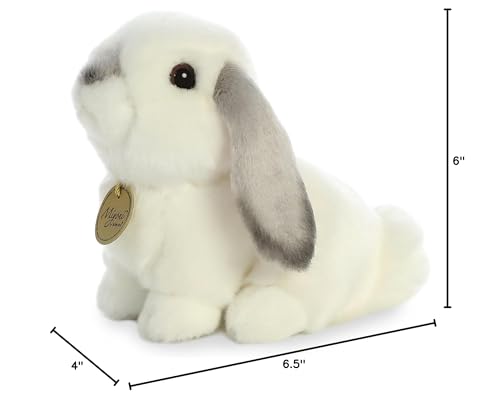 Aurora Miyoni lop-eared rabbit gray hang tag showcases species information.