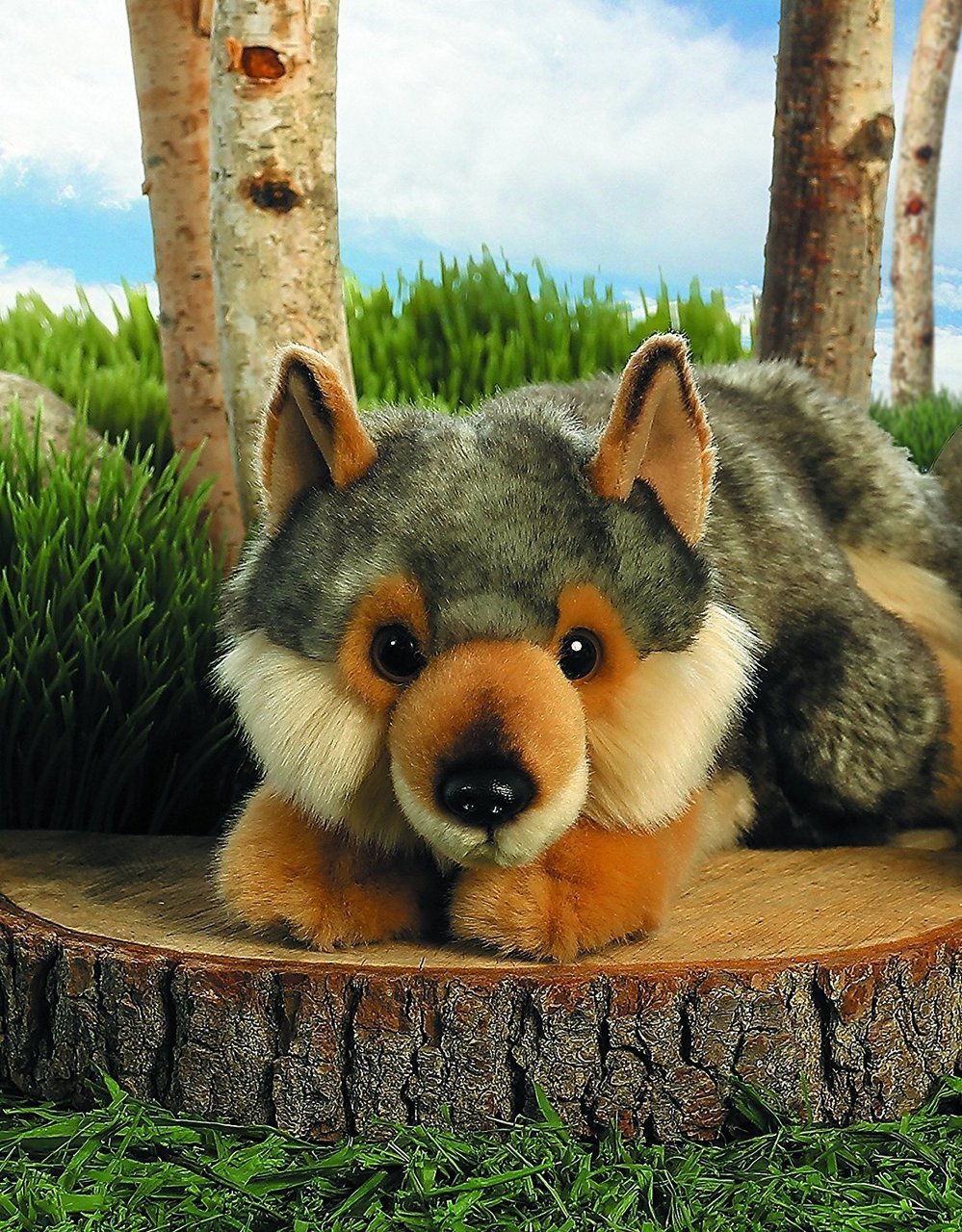Aurora Miyoni wolf plush with hang tag highlighting species information.
