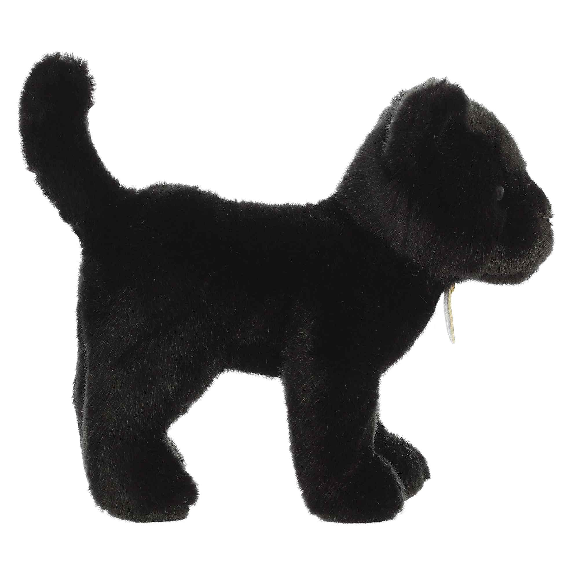 Aurora Miyoni Panther standing on all fours inspires play and display
