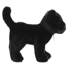 Aurora Miyoni Panther standing on all fours inspires play and display