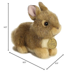 Aurora Miyoni Tots Bunny educational hangtag for learning