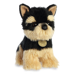 Aurora Miyoni Tots Yorkie Pup close-up eyes invite play