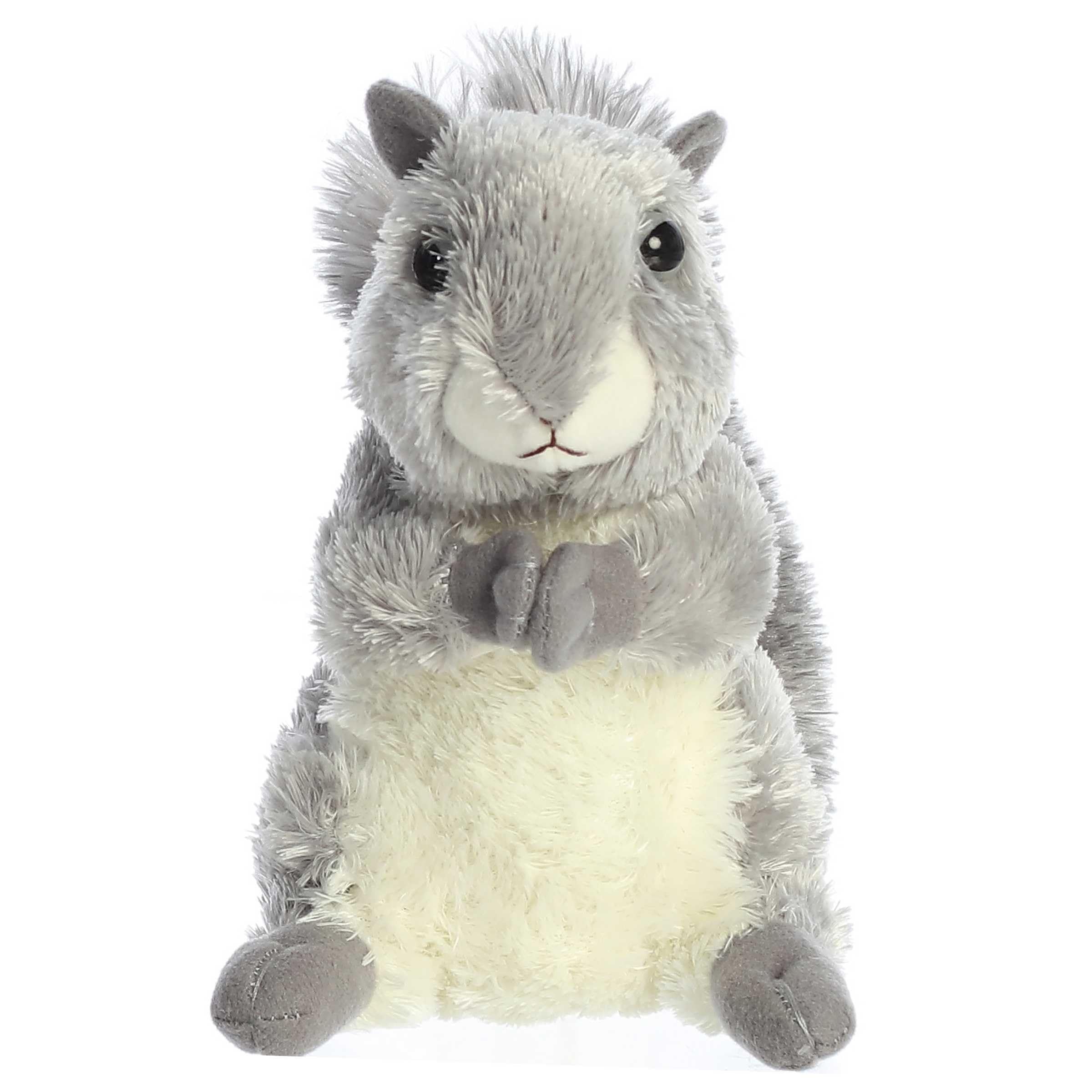Aurora Nutty with soft grey fur ideal for comforting hugs and close-up play.