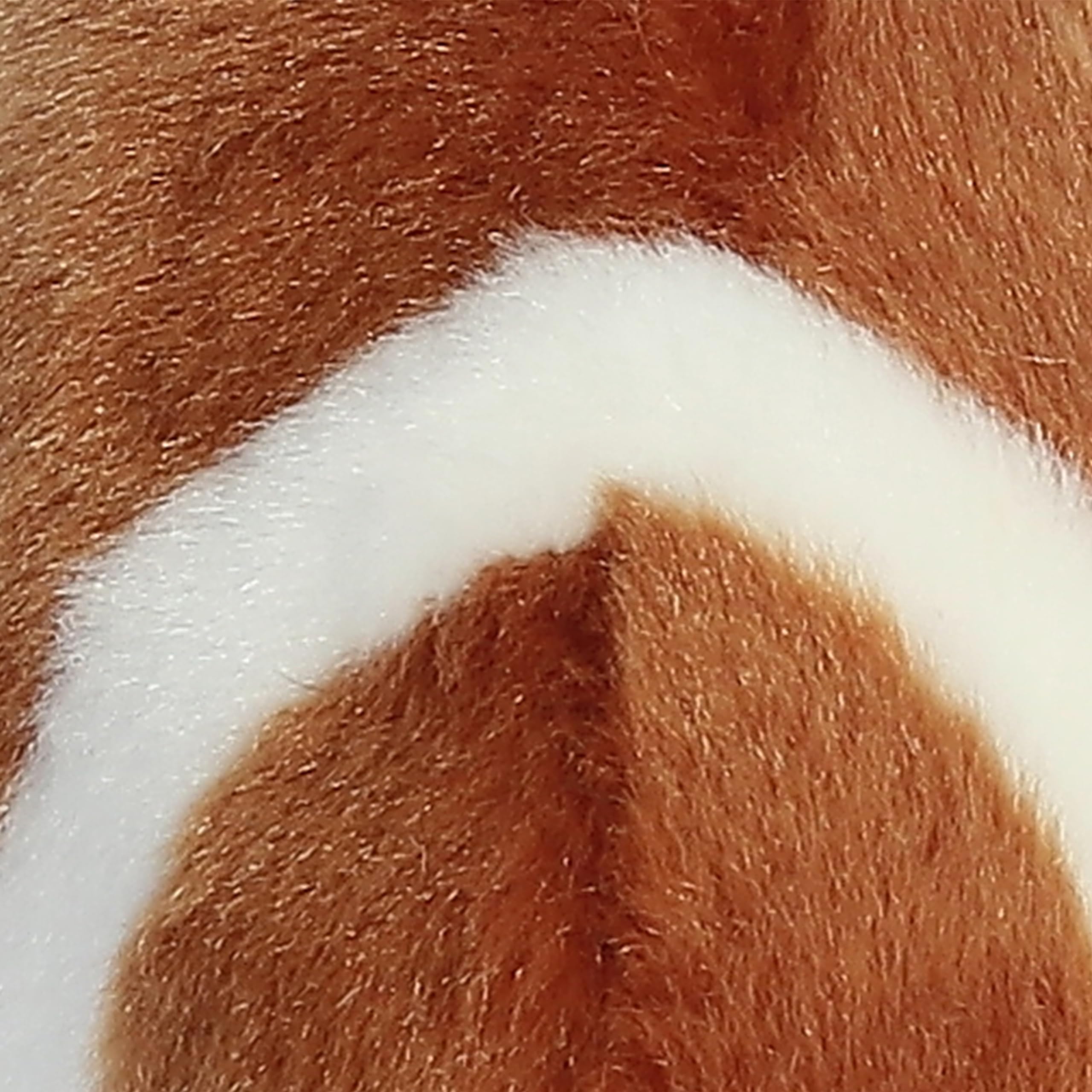 Aurora Palm Pals plush emphasizes team-spirit and gift-ready appeal.