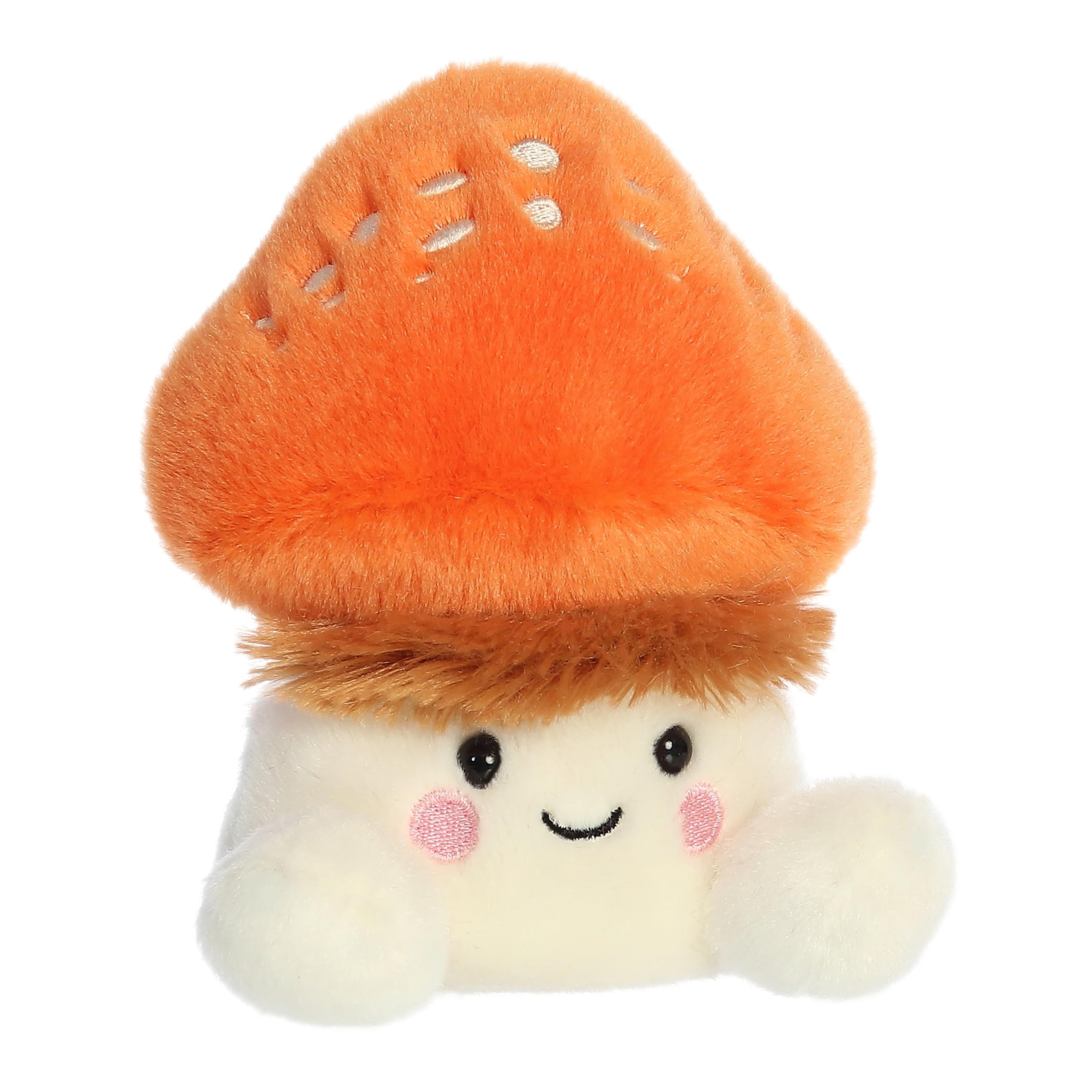 Aurora Fabian Fluffy Mushroom face showing friendly expression for gifting.