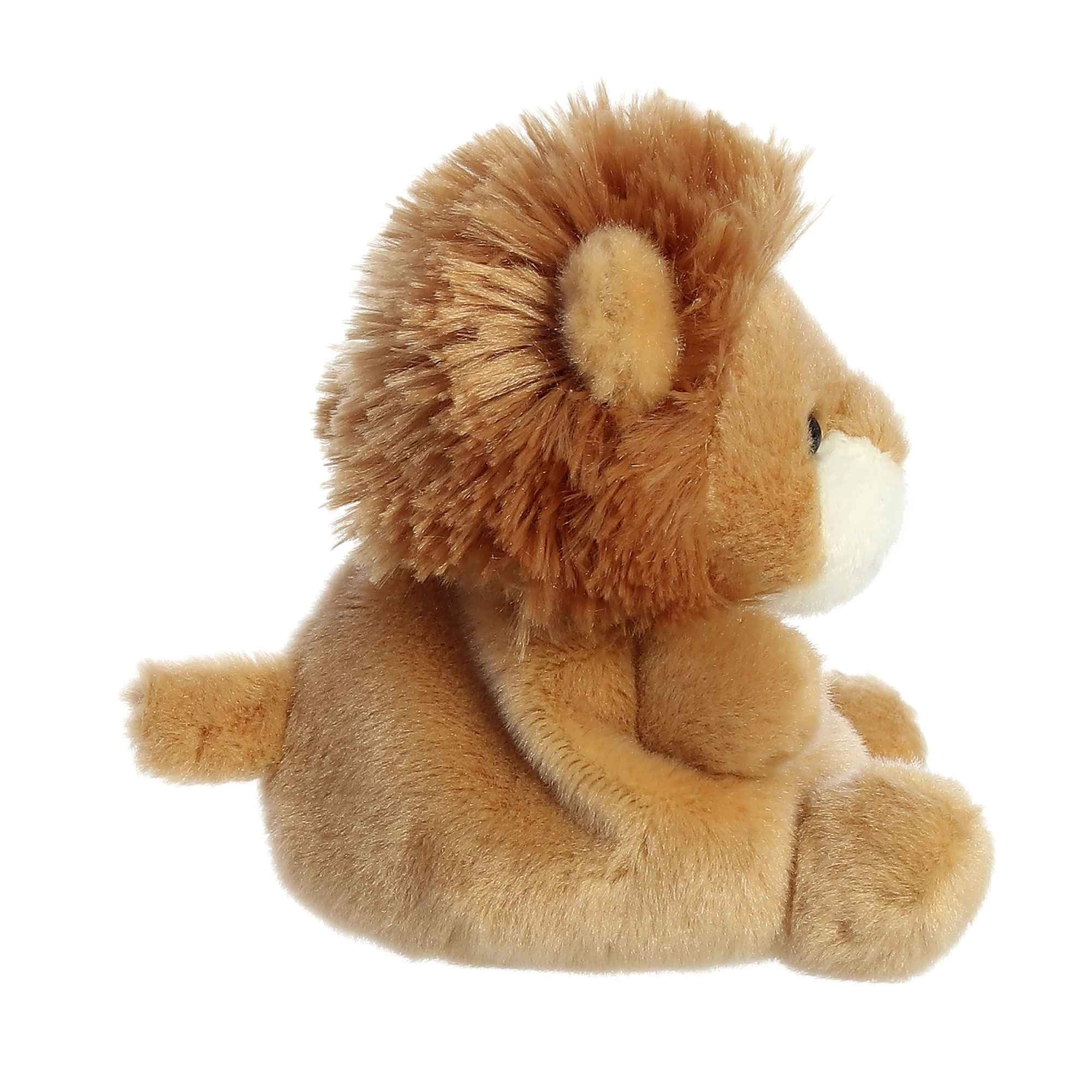 Aurora Leno Lion snuggle portrait demonstrates pocket-sized friend for travel