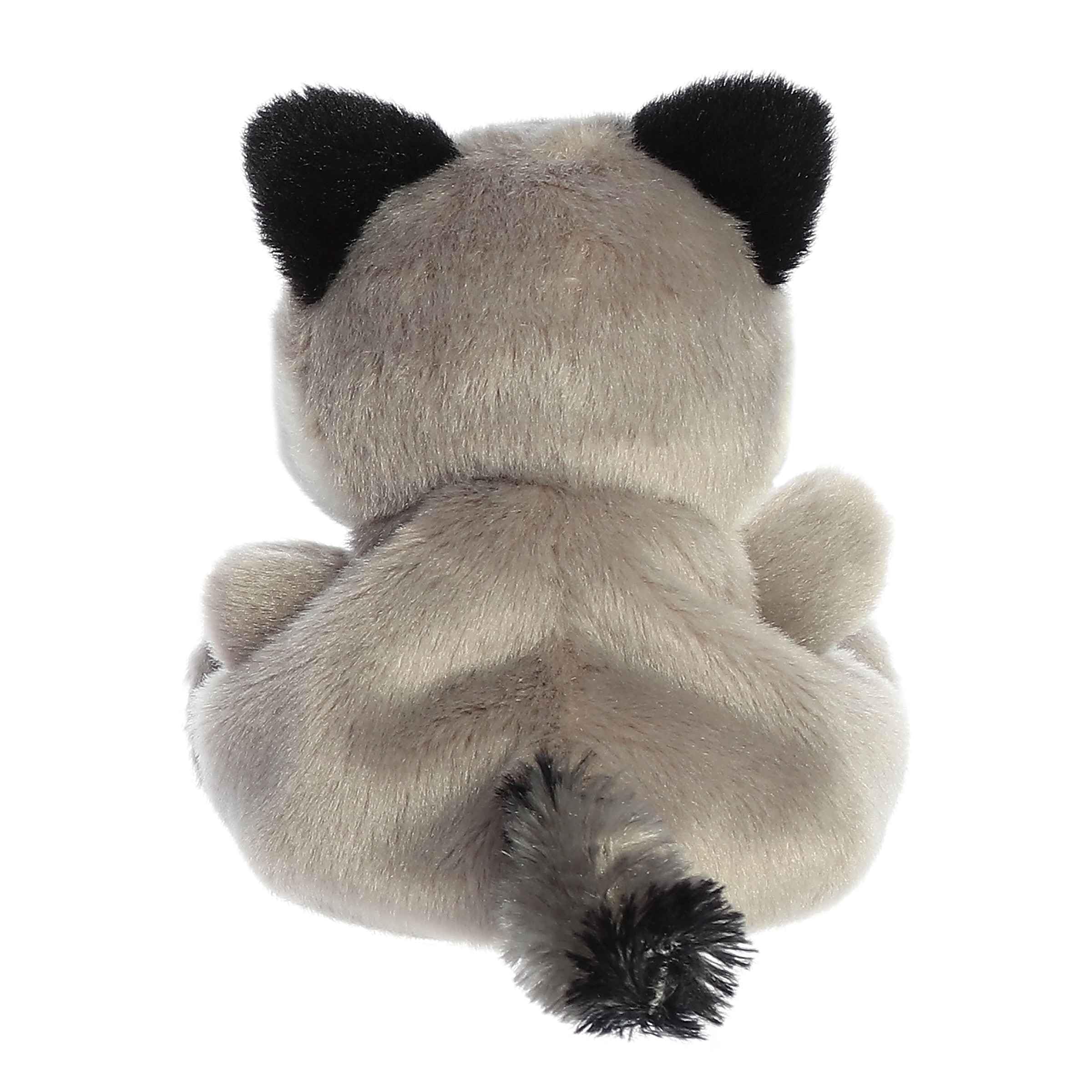 Aurora Palm Pals Rascal Raccoon with bean pellets for stable posing