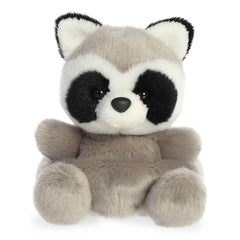 Aurora Palm Pals Rascal Raccoon face close-up with soft grey fur and playful eyes