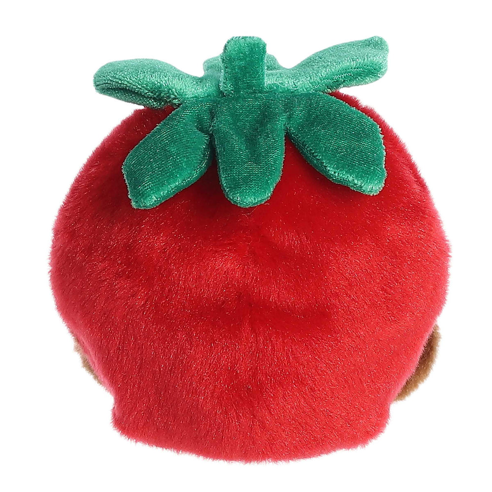 Aurora Valentino Chocolate Strawberry plush packaging image, ideal gift-ready collectible.