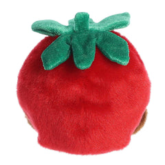 Aurora Valentino Chocolate Strawberry plush packaging image, ideal gift-ready collectible.