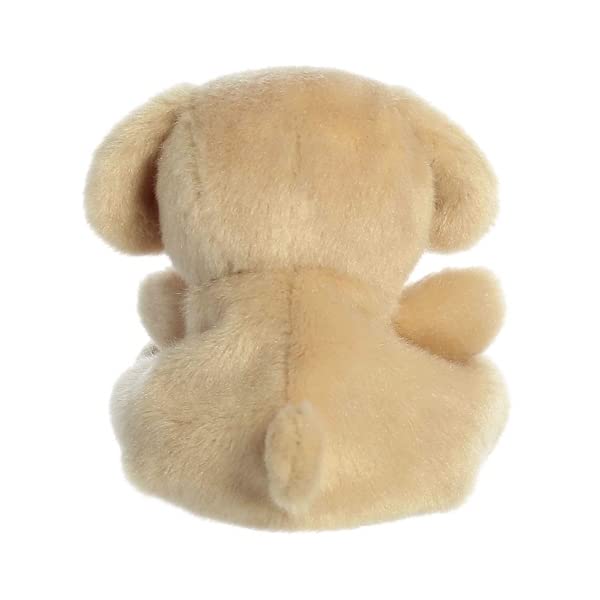 Sunny Lab's compact size makes it ideal for travel fun.