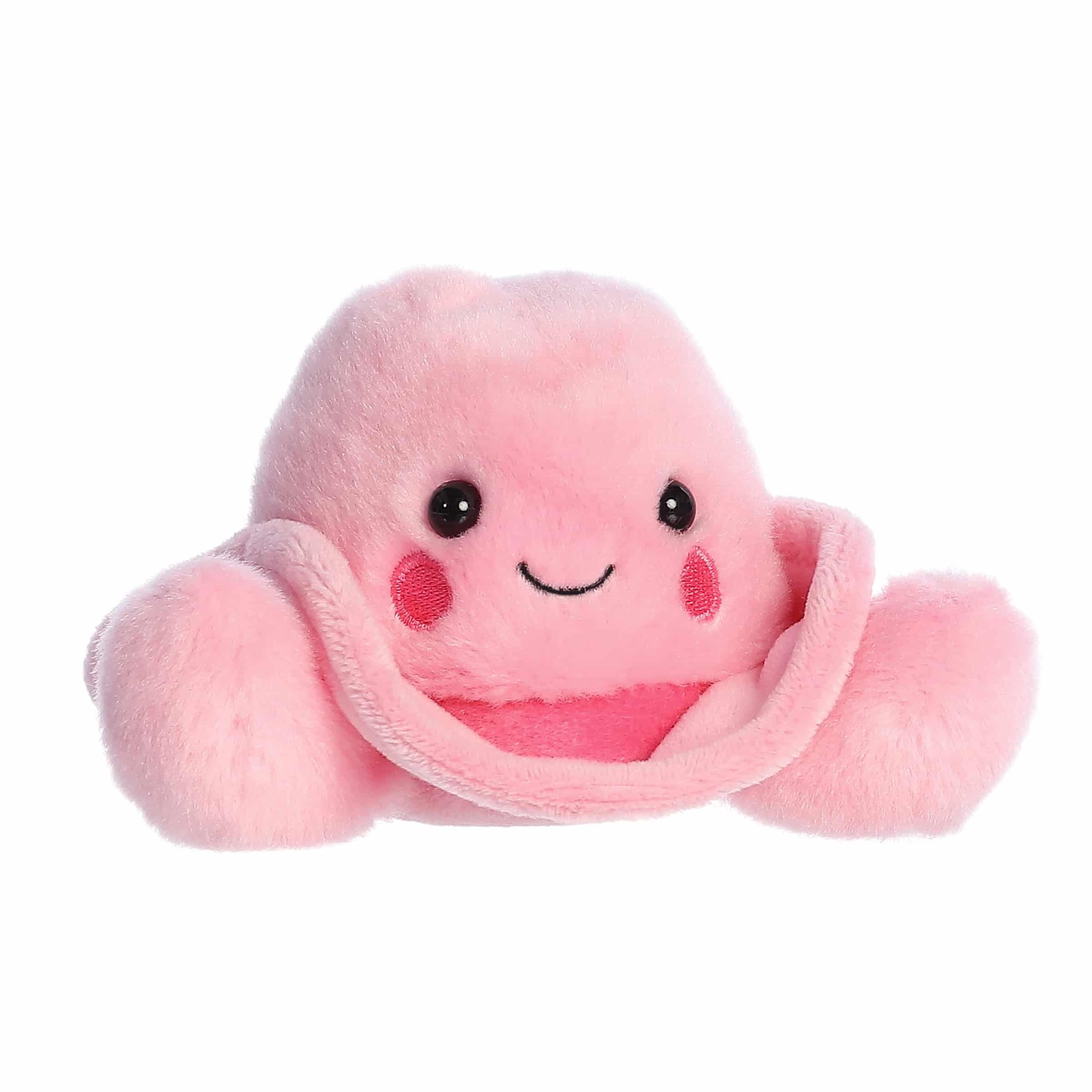 Aurora Palm Pals collection banner with Sally for display and gifting.