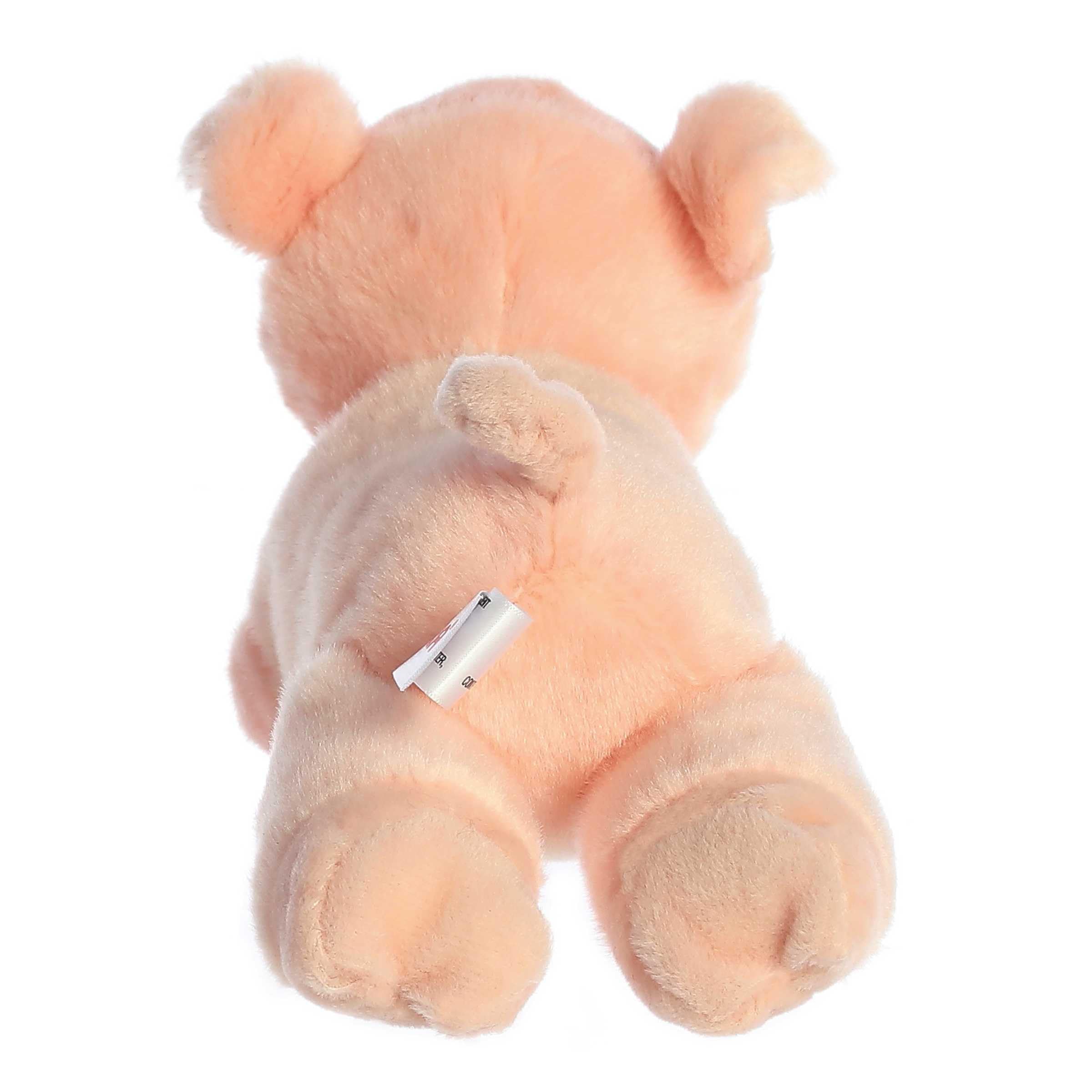 Aurora Percy snuggle-ready pose makes a cozy companion for kids and families.