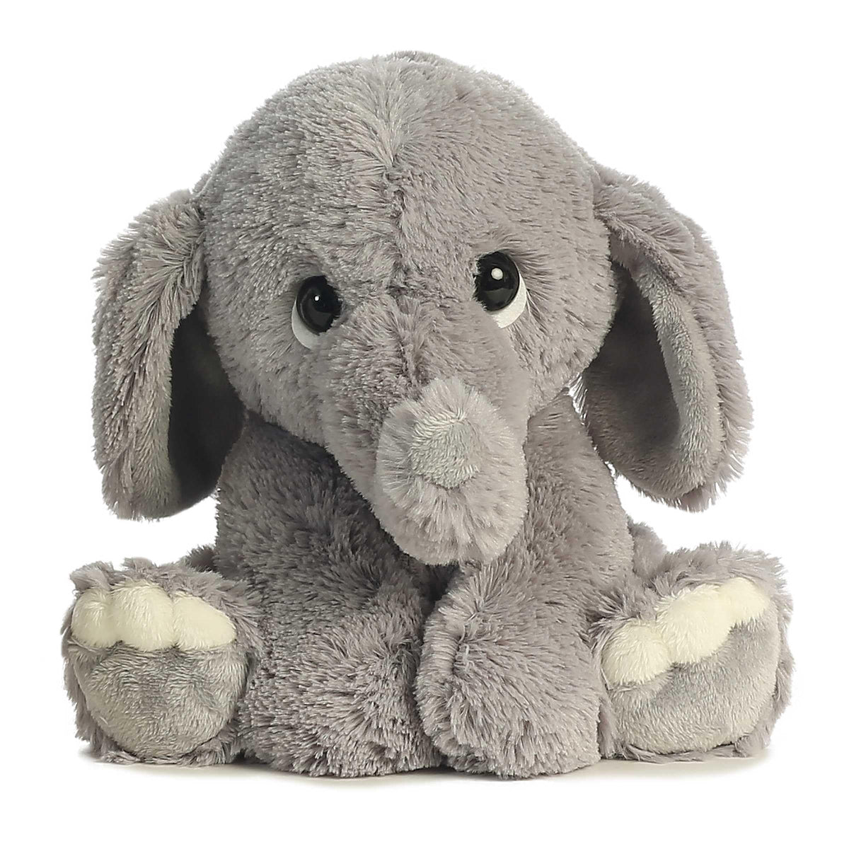 Aurora Playful Lil Benny Phant grey eyes invite imaginative play and companionship.